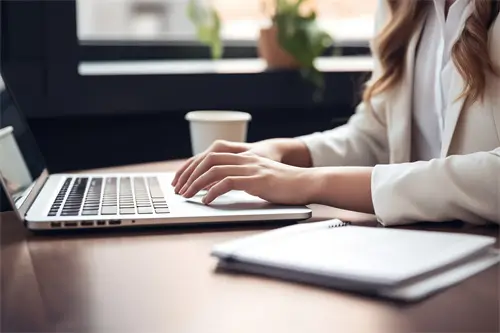 如何介绍公司典型业绩